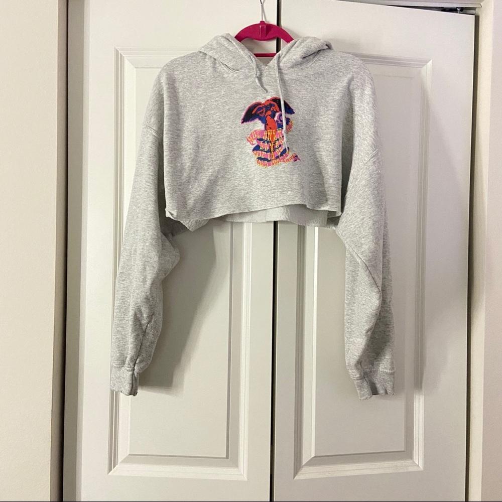 Boys lie cropped hoodie